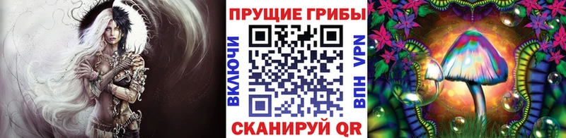 цена   Россошь  Галлюциногенные грибы прущие грибы 