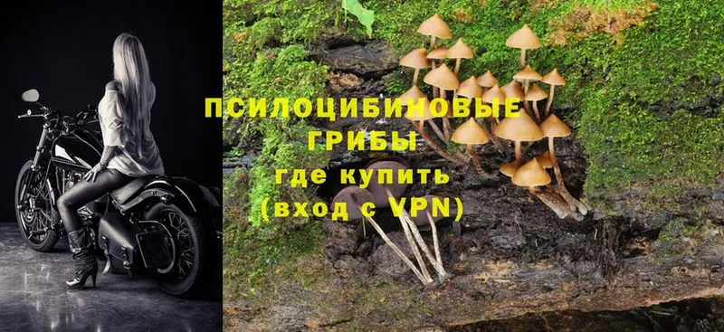 Псилоцибиновые грибы MAGIC MUSHROOMS  это формула  Россошь 