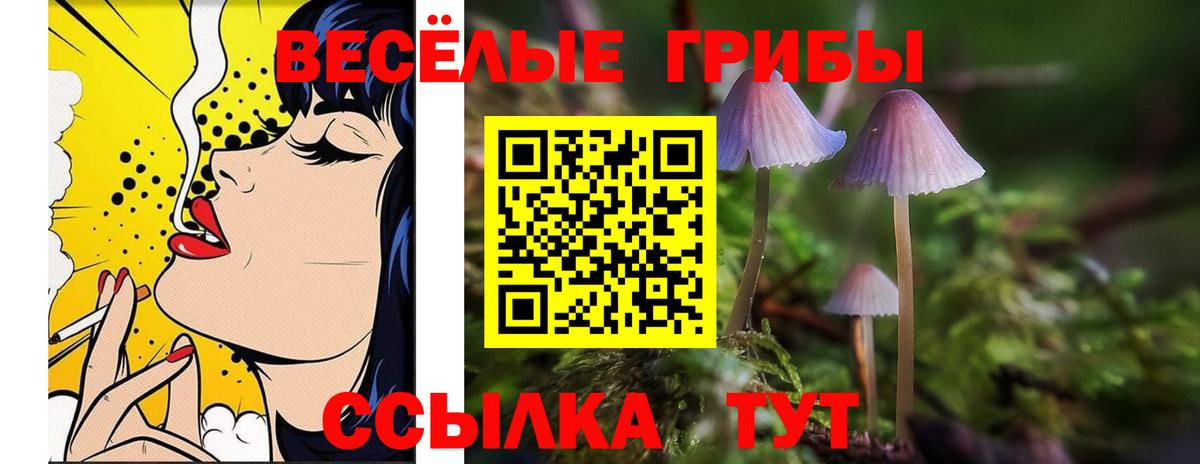 Галлюциногенные грибы прущие грибы Россошь